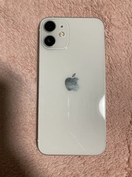 Мобільний телефон Apple iPhone 12 mini 64GB Blue (REF A) Ємність батареї – 85%+ (2AMGE13) фото від покупців 2