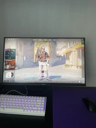 Монітор 24.5" MSI MAG 255PXF -- Rapid IPS FullHD / 300Hz / 0,5 мс GtG / 8-Bit + FRC / FreeSync Premium / AI Vision / HDR Ready / sRGB 120% / Pivot / Built-In Speaker 2W фото від покупців 8