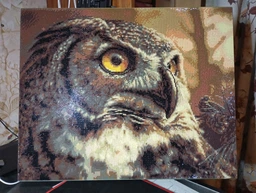 Алмазна мозаїка ColorArt 40x50 Сова SP110