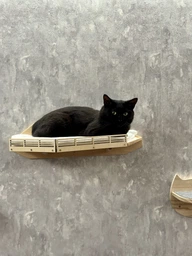 Полка для кота на стену. Настенная кровать для кота с подушкой. Цвет натуральное дерево