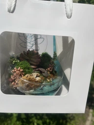 Флораріум із сукулентами та імітацією водойми 9 см (7571) фото від покупців 1