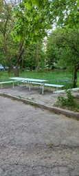 Фасадна фарба акрил-латексна 0540-G50Y SkyLine 3 л 000278841 фото від покупців 16
