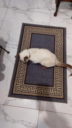 Килимок придверний, у передпокій, коридор MAC Carpet Taba 315 40х60 см Синій фото від покупців 6