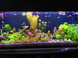 Підкладка під грунт для рослин Aquaforest Natural Substrate 7.5л (739344)