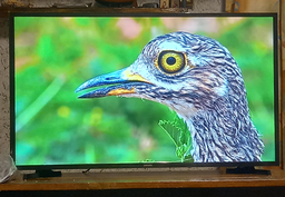 Телевизор Samsung 32" UE32T5300AUXUA фото от покупателей 7