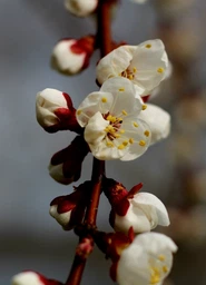 Фотоаппарат Canon EOS 2000D BK 18-55 DC III (2728C007AA) фото от покупателей 16