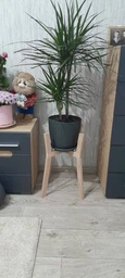 Підставка для вазонів 260x490x400мм WoodDecor косонога бук без покриття