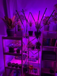 Фітолампа світлодіодна LED Plant Grow Light на 4 лампи для росту рослин на прищіпці фітосвітильник для кімнатних квітів, розсади