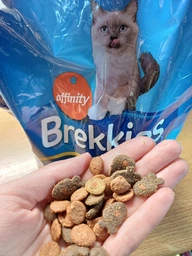 Сухий корм для котів і кішок Brekkies Cat Delice Fish для дорослих котів з рибою 3 кг