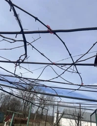 Садовий степлер тапенер для підв'язки винограду, рослин і дерев + набір стрічок 11 рулонів і скоб фото від покупців 1