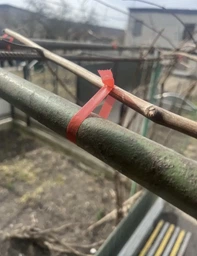 Садовий степлер тапенер для підв'язки винограду, рослин і дерев + набір стрічок 11 рулонів і скоб