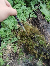 Якір кошка риболовна для очищення дна, складний, сталь фото від покупців 1