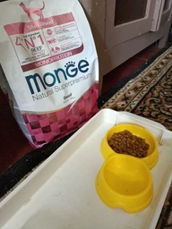 Сухой корм MONGE CAT Sterilised с говядиной - 1,5 кг