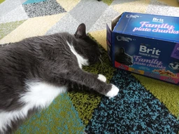 Консервы Brit Premium Cat pouch 1200 г семейная тарелка ассорти 4 вкуса
