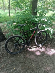 Велосипед Спортивный Corso Stellar 29" дюймов TL-29314