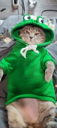 Толстовка для котів (кішок) Жабеня XS Зелений фото від покупців 5
