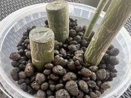 Керамзит Biovita дрібний 4-8 мм, 5 л (60400) фото від покупців 1