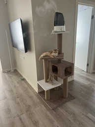 Домик когтеточка для кота дряпка для кошки Мур-Мяу Алиса-2 70 x 70 x 138 см в джутовой веревке Коричнево-Бежевый МТ фото от покупателей 16