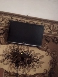 Конвертер Voltronic HDMI (тато) на VGA (мама) 10 см, Black, 4K/2K, Пакет Q250 (2000000027777) фото від покупців 3