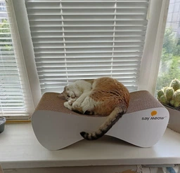 Когтеточка-лежанка для кошек Say Meow Cloud гофрокартон, 61х21х24 см (8040190102001) фото от покупателей 15