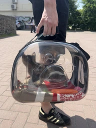 Сумка переноска mini Pet прозора для домашніх тварин (кішок, собак, кроликів і ін.) (Код: IBH010B) фото від покупців 1