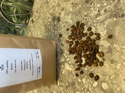 Кава в зернах 100% арабіка Barista свіжообсмажена 1 кг фото від покупців 1