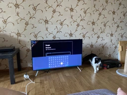 Телевізор ERGO QLED 43 дюйми 4K сріблястий (682282) фото від покупців 6