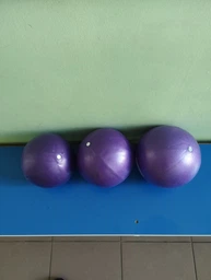 М'яч для пілатеса EasyFit 25 см фіолетовий фото від покупців 5