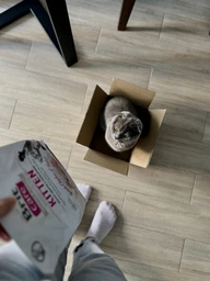 Сухой корм для котят Brit Care Cat GF Kitten Growth & Developmen с курицей и индейкой 2 кг