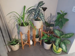 Підставки для вазонів дерев'яні WoodDecor комплект в натуральному кольорі покриті олією висока і низька