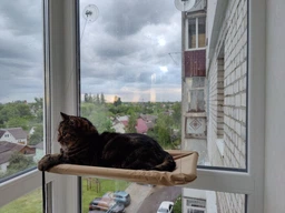 Спальное место для кошки кровать лежанка оконная гамак Sunny Seat Window фото от покупателей 15