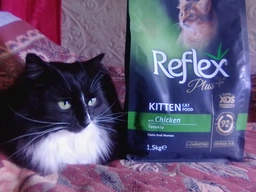 Сухой корм Reflex Plus полноценный и сбалансированный для котят с курицей 1.5 кг (8698995003520)