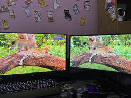 Монитор 26.5" MSI MAG 271QP QD-OLED X24 фото от покупателей 13