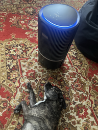 Климатический комплекс PHILIPS 2 в 1 PureProtect Water Серия 3400 AC3421/13