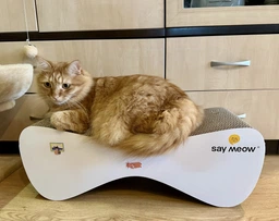 Когтеточка-лежанка для кошек Say Meow Cloud гофрокартон, 61х21х24 см (8040190102001) фото от покупателей 14