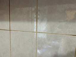 Пароочисник ручний потужний для прибирання дому та меблів плитки автомобіля підлоги паровий очисник для вікон кухні швів дезинфекції очищення парою пароочисники портативний універсальний 3.5 бар фото від покупців 7