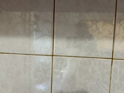 Пароочисник ручний потужний для прибирання дому та меблів плитки автомобіля підлоги паровий очисник для вікон кухні швів дезинфекції очищення парою пароочисники портативний універсальний 3.5 бар фото від покупців 9