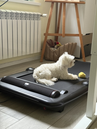 Бігова доріжка Xiaomi KingSmith К12 (650420)