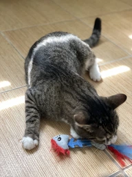 Игрушка для котов OutwardHound Petstages Feather Fish Bone Cat Toy фото от покупателей 1