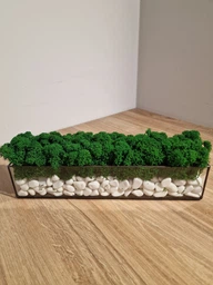 Моссариум со стабилизированым мхом MiNature Moss натурально зелёный 30 см