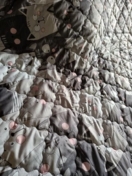Ковдра Руно літня полуторна 140x205 см антиалергенне волокно Grey Cat (Р321.52СЛКУ_Grey Cat) фото від покупців 8
