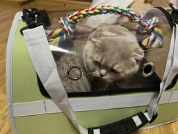 Сумка переноска для кота кошки котенка собаки домашних животных до 8 кг прозрачная с ремешком на плечо кошачьи сумки для переноски котов кошек собак котят серая 45×28×28 см (002294) фото от покупателей 10