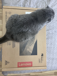 Монитор 24" Lenovo L24m-4A Metal Base (67BDUAC6UA) IPS / 100Hz / 99% sRGB / USB-C DP Alt Mode 75W / HAS / Pivot / Speakers 3W фото от покупателей 3
