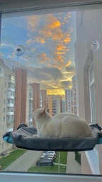 Спальное место для кошки кровать лежанка оконная гамак Sunny Seat Window фото от покупателей 13