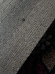 Стіл-трансформер Desk 2,0 940x540x450 Дуб Евок/Чорний (GATB14100000030) фото від покупців 1