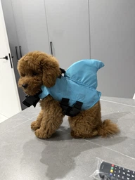 Плавальний жилет для собак S акула Ruhhy