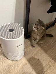 Очиститель воздуха PHILIPS AC0650/10 фото от покупателей 3