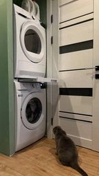Сушильный автомат Electrolux EW6D283YU фото от покупателей 14