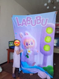Плед плюшевый велюр Лабубу 4 с 3D рисунком 80х100