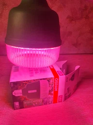 Светодиодная фитолампа OSRAM T80 20W 650Lm E27 (4058075845800) фото от покупателей 2